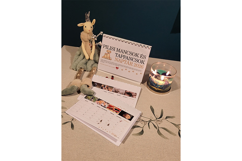 Pilisi Mancsok és Tappancsok 2026-os asztali naptár