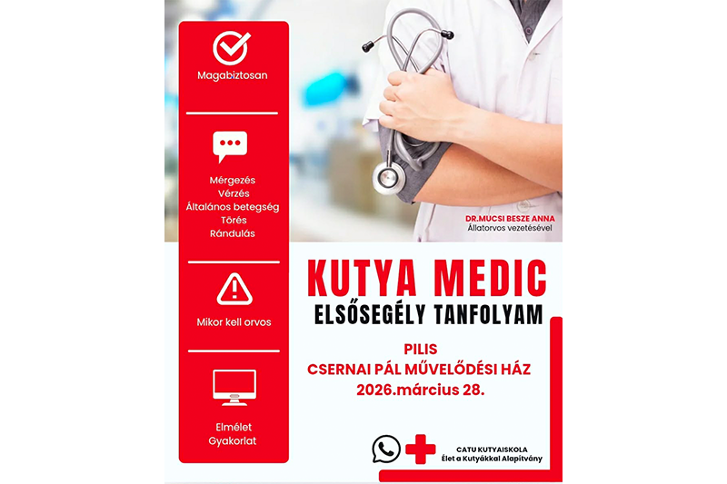 Újra Kutya-Medic elsősegély képzés!