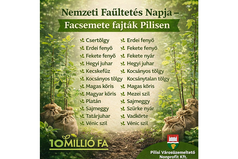 Elérhető facsemetefajták a Nemzeti Faültetés Napja alkalmából 
