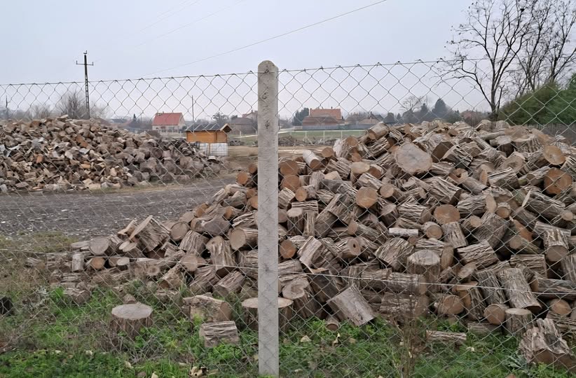 Ezen a télen háromkörös szociális tűzifa-kiosztást biztosítottunk a rászorulók számára