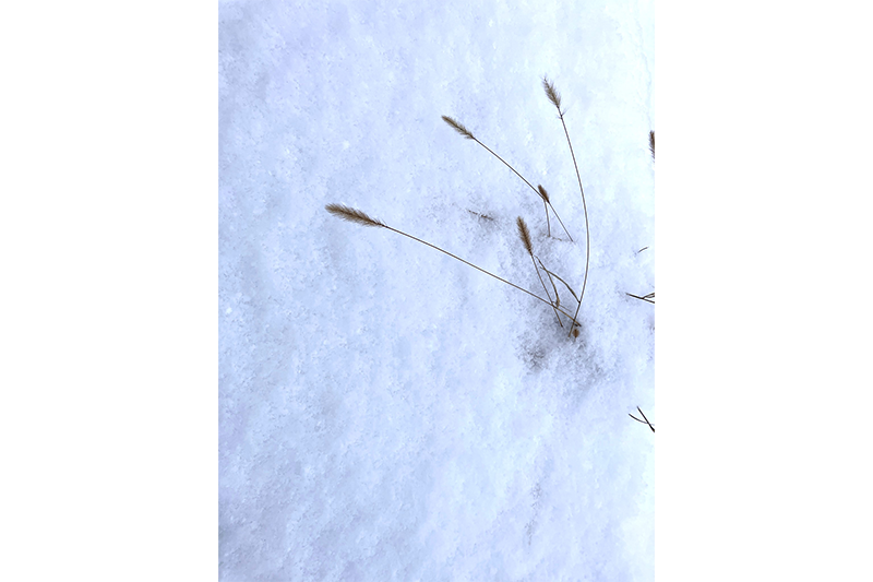 Extrém Téli időjárás várható a következő időszakban. Vigyázzunk egymásra!
